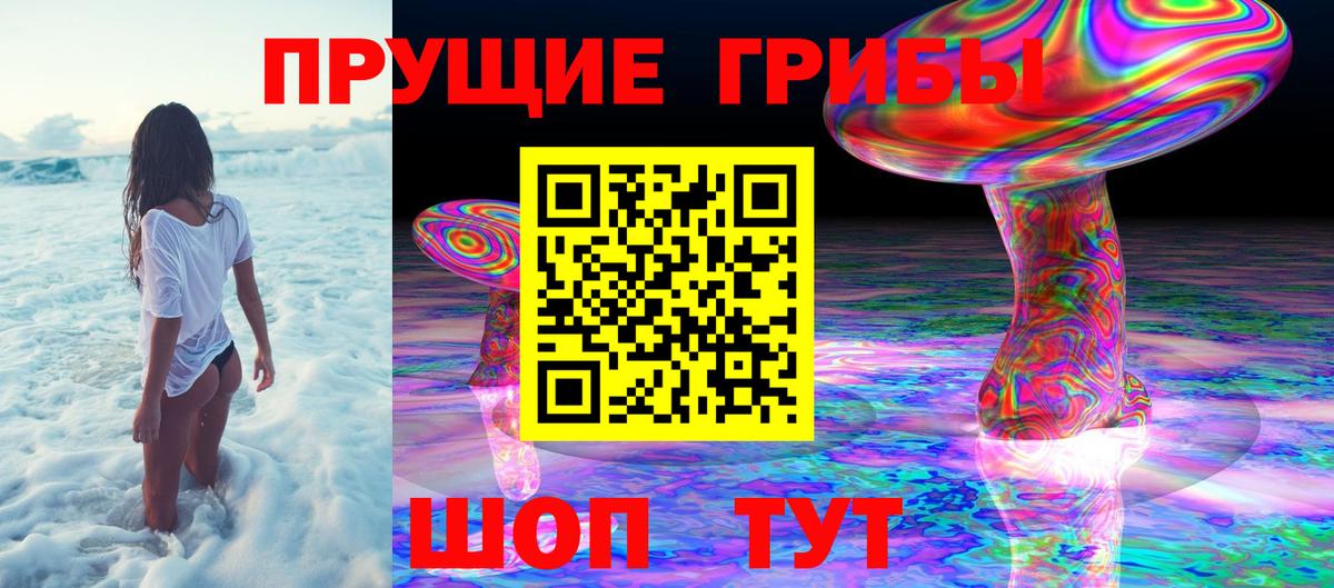 Пермь  наркошоп  Вход с VPN  Галлюциногенные грибы GOLDEN TEACHER 